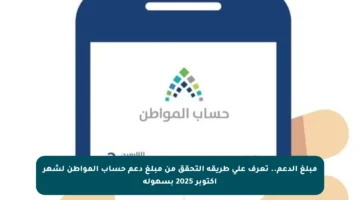 مبلغ الدعم.. تعرف على طريقة التحقق من مبلغ دعم حساب المواطن لشهر أكتوبر 2025 بسهولة